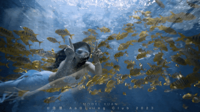 高云翔和董璇的女儿你还记得吗她的可爱模样让人难以忘怀