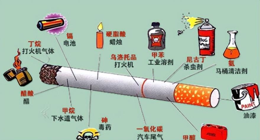 吸烟真的有害吗?英国烟草公司用48只狗做实验,3年每天吸100支烟