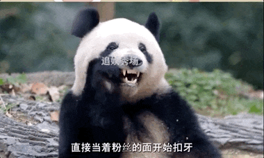 偶像包袱没有了,吃窝窝头直接卡成了表情包▼▼▼[gf]200d[/gf][gf]