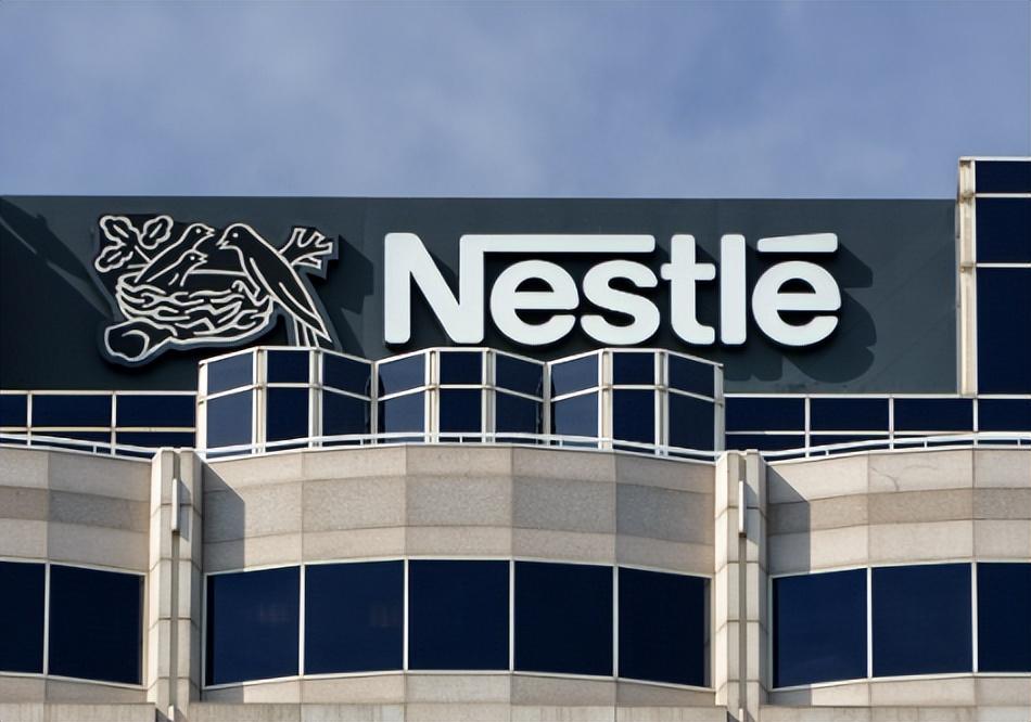 银鹭住雀巢的委屈