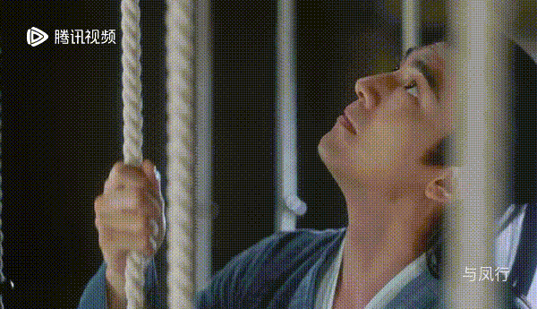 与凤行行止默默为沈璃挂上满屋绳子却为何比不上尔康的付出