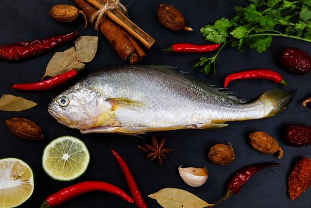 会"膨胀"的海鱼