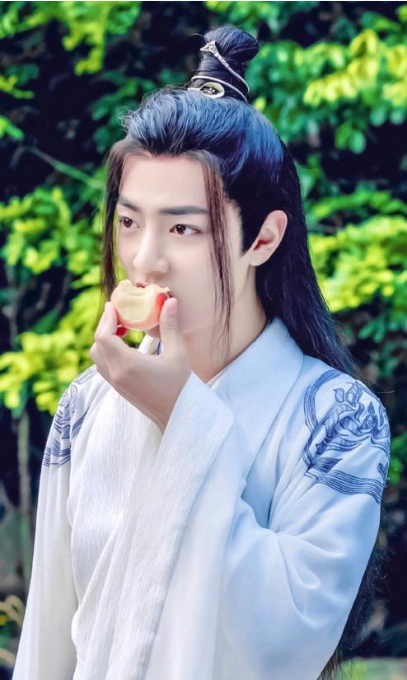 肖战:从陈情令到藏海传,全球首帅魅力无穷