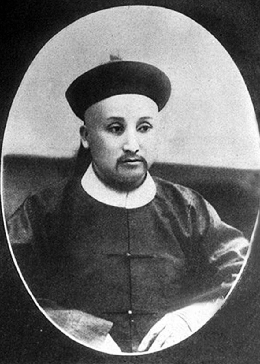 回顾没有人住的西沙岛发现了野牛这些牛难道是游泳过去的