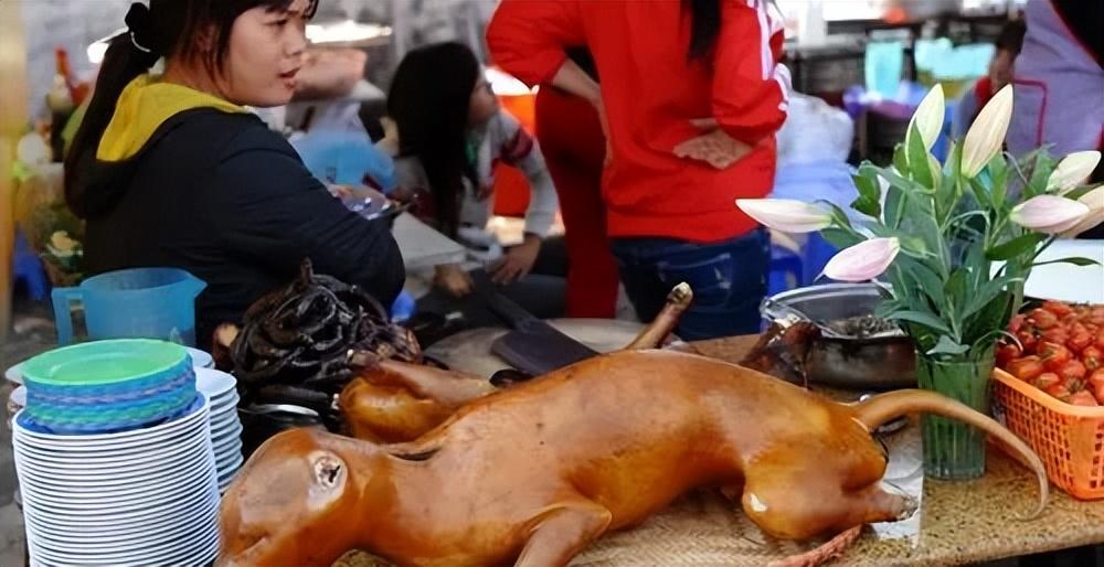 回顾躲过了国人的筷子却没避开越南人的盘子越南人为何爱吃猫