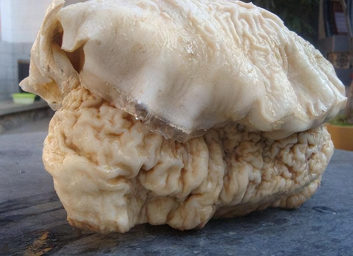 回顾卖10万元一克的太岁到底是什么为什么能卖这么贵