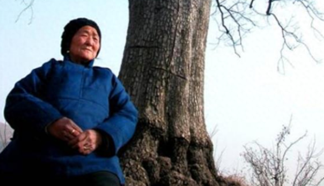 婆婆得知我未婚先孕就让领证不办酒我爸砸80万给她来个下马威