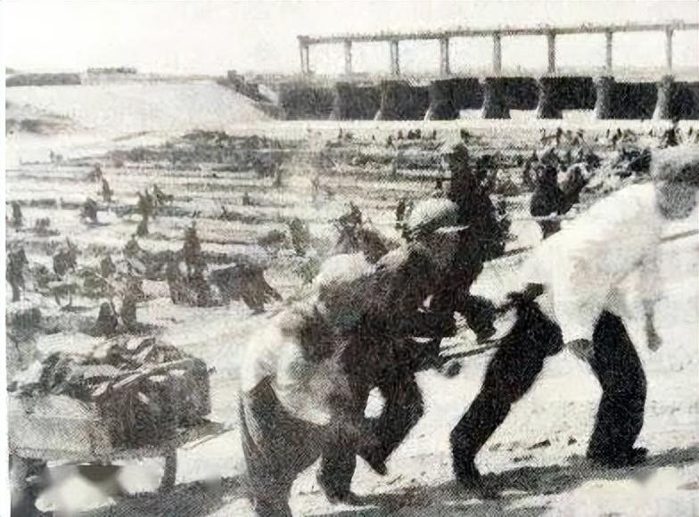 1963年,天津遭遇百年大洪灾,泄洪百姓:淹了我们,保天津!