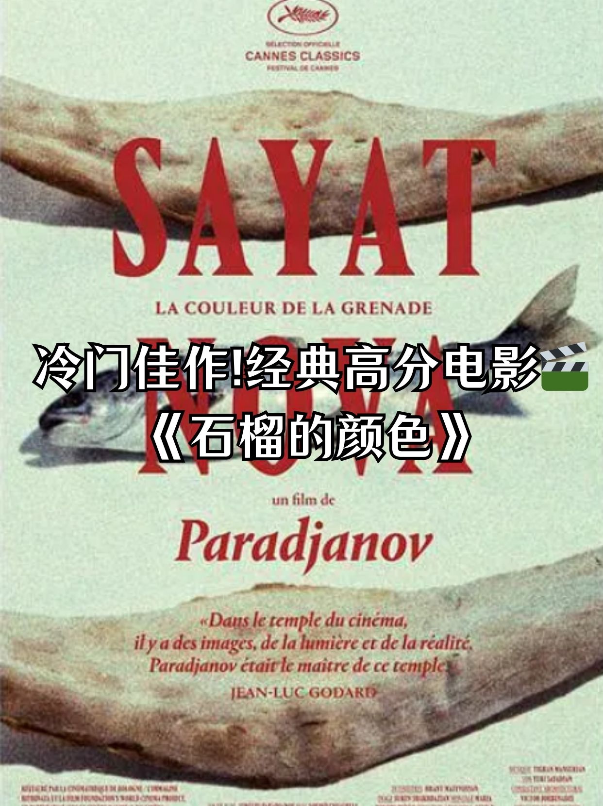 经典高分电影 《石榴的颜色》   石榴的颜色   (1969)  导演: 谢尔盖