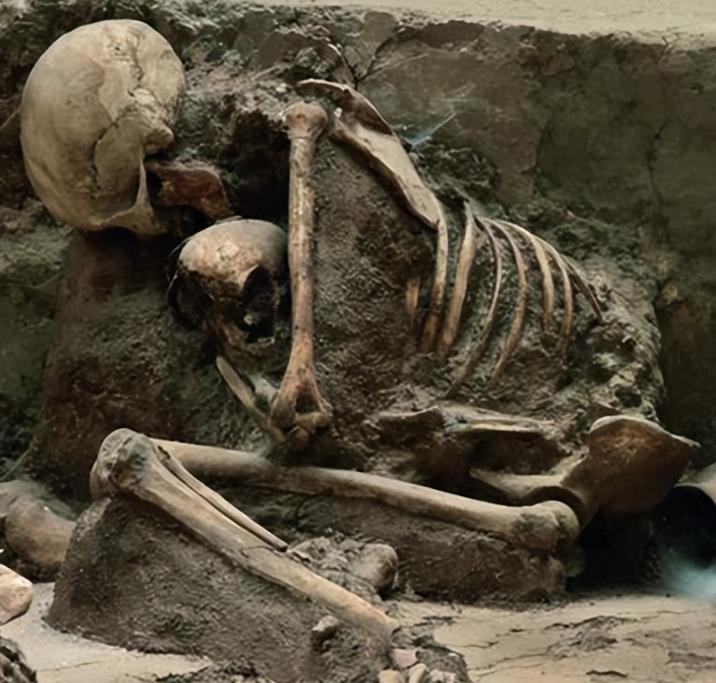 此事也惊动了青海省考古所,随后考古人员仅在一个小