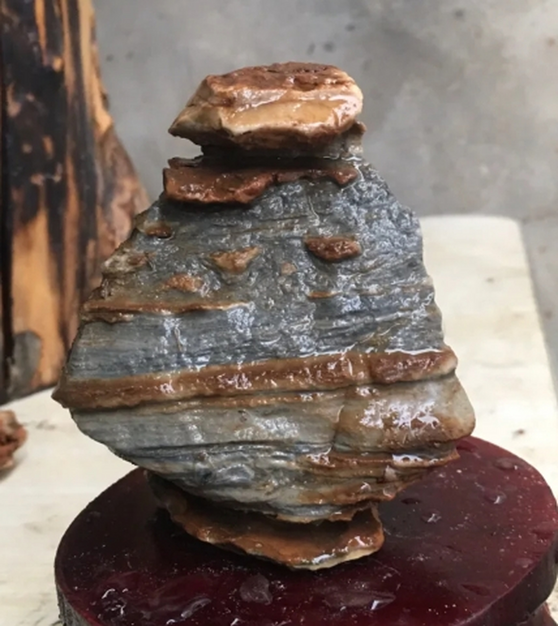 点击头像看直播# #奇石摆件#太行奇石的"形,质,色,纹,韵"等特点,势滗