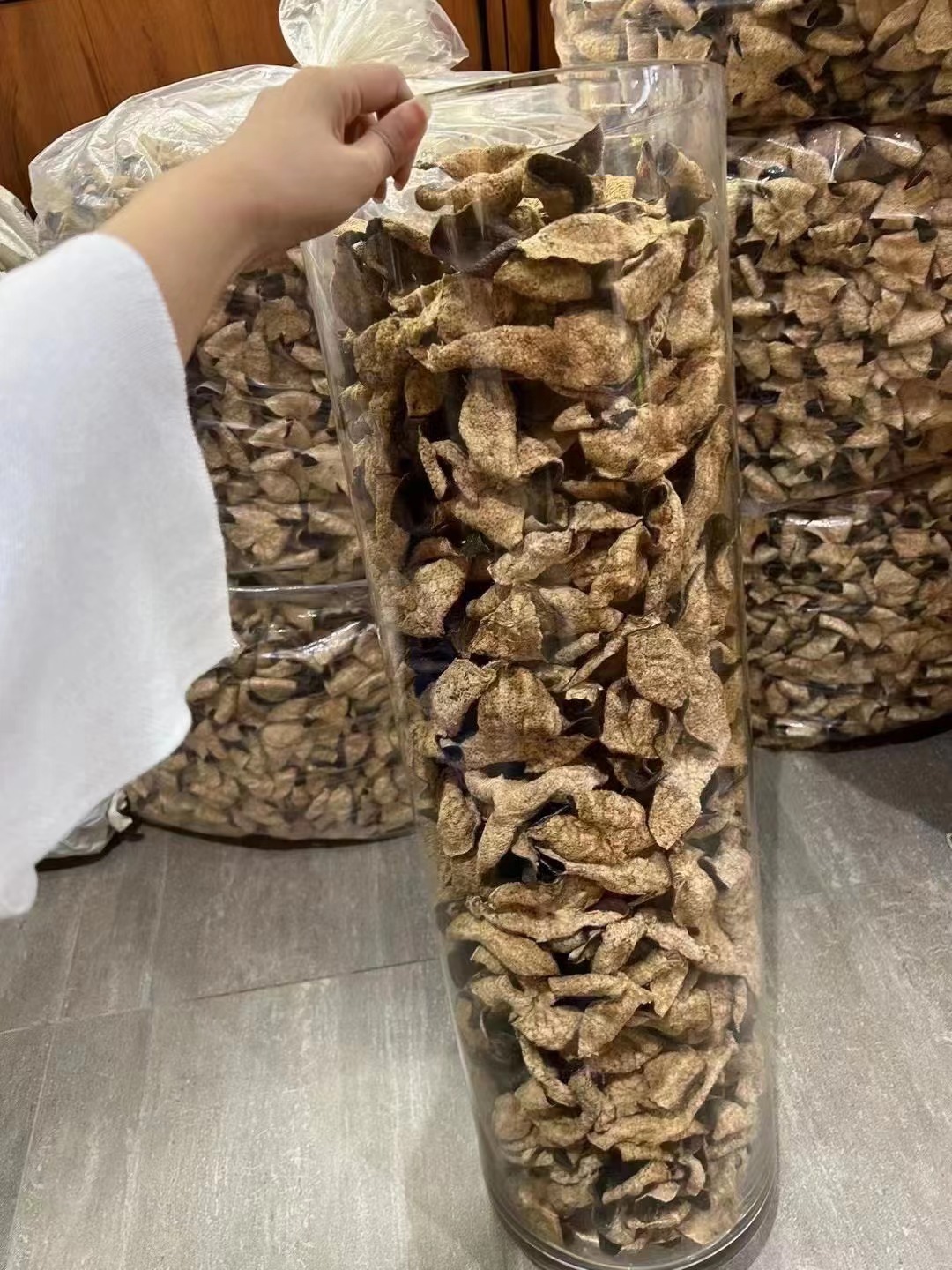 老陈皮图片