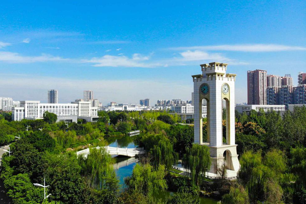 小杨高考608分考入西南财经大学财务管理专业,后赴美国纽约大学深造