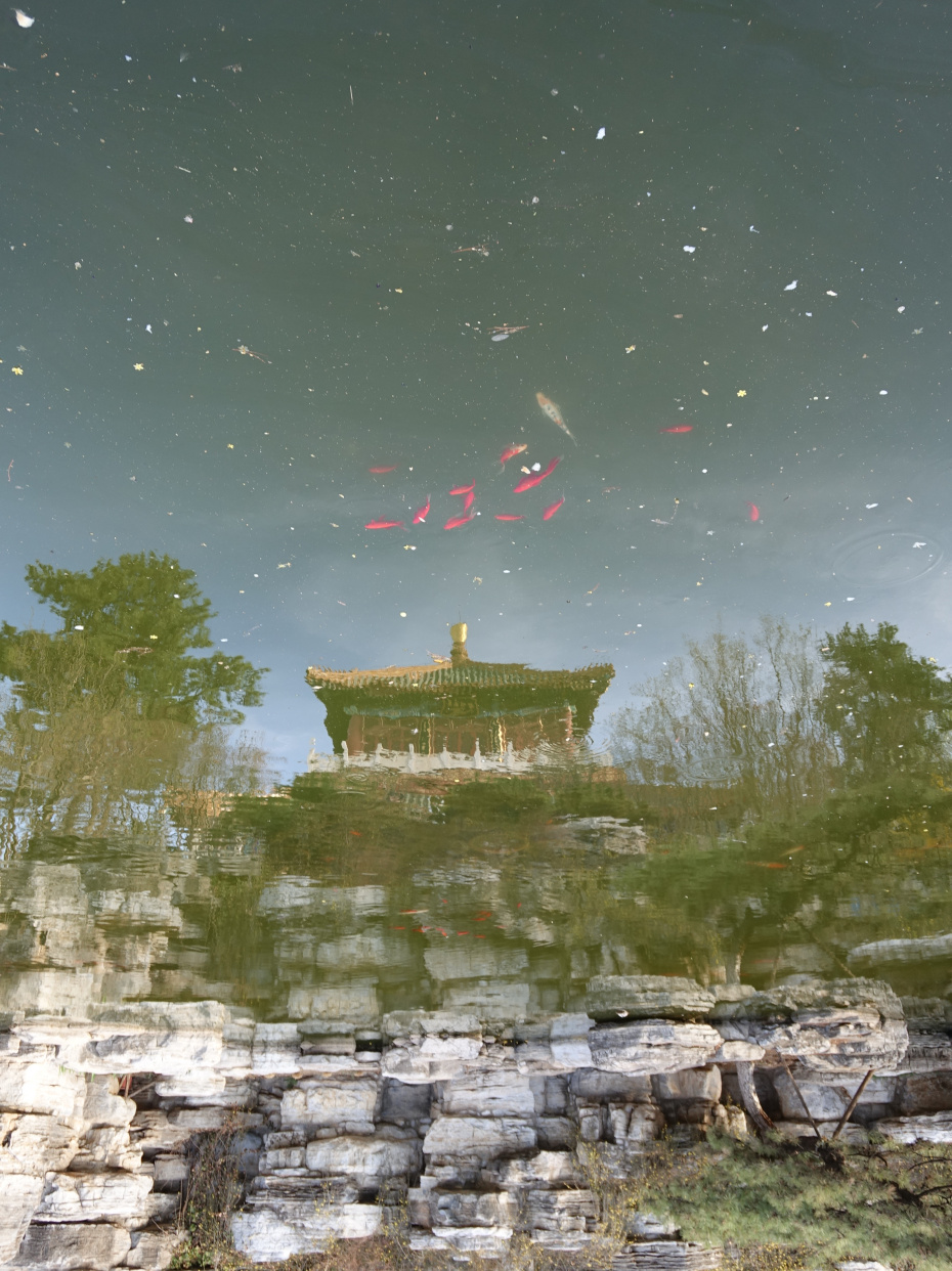 《北京园博园采风》摄影:高菡