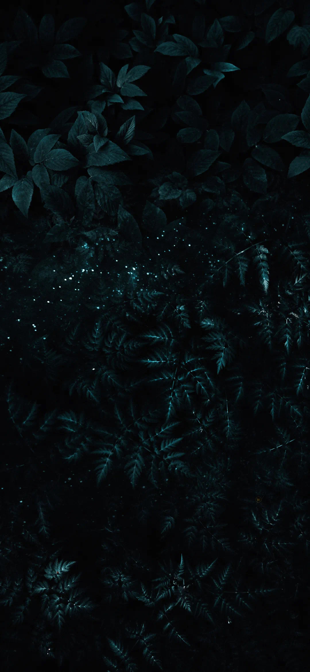 暗色壁纸 baijiahao.baidu.com