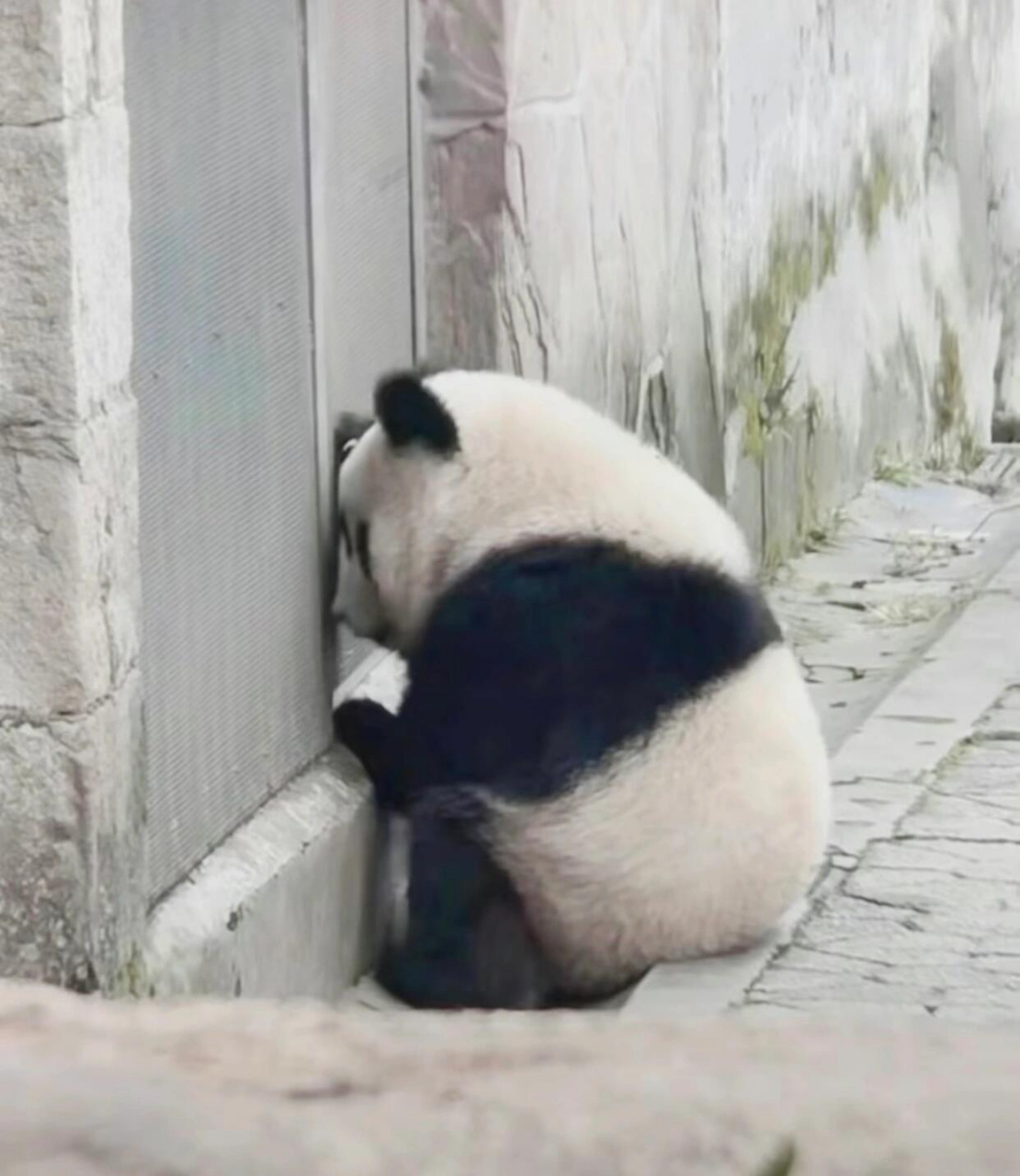 我想不明白,我到底哪儿做错了,为什么让我面壁思过啊?