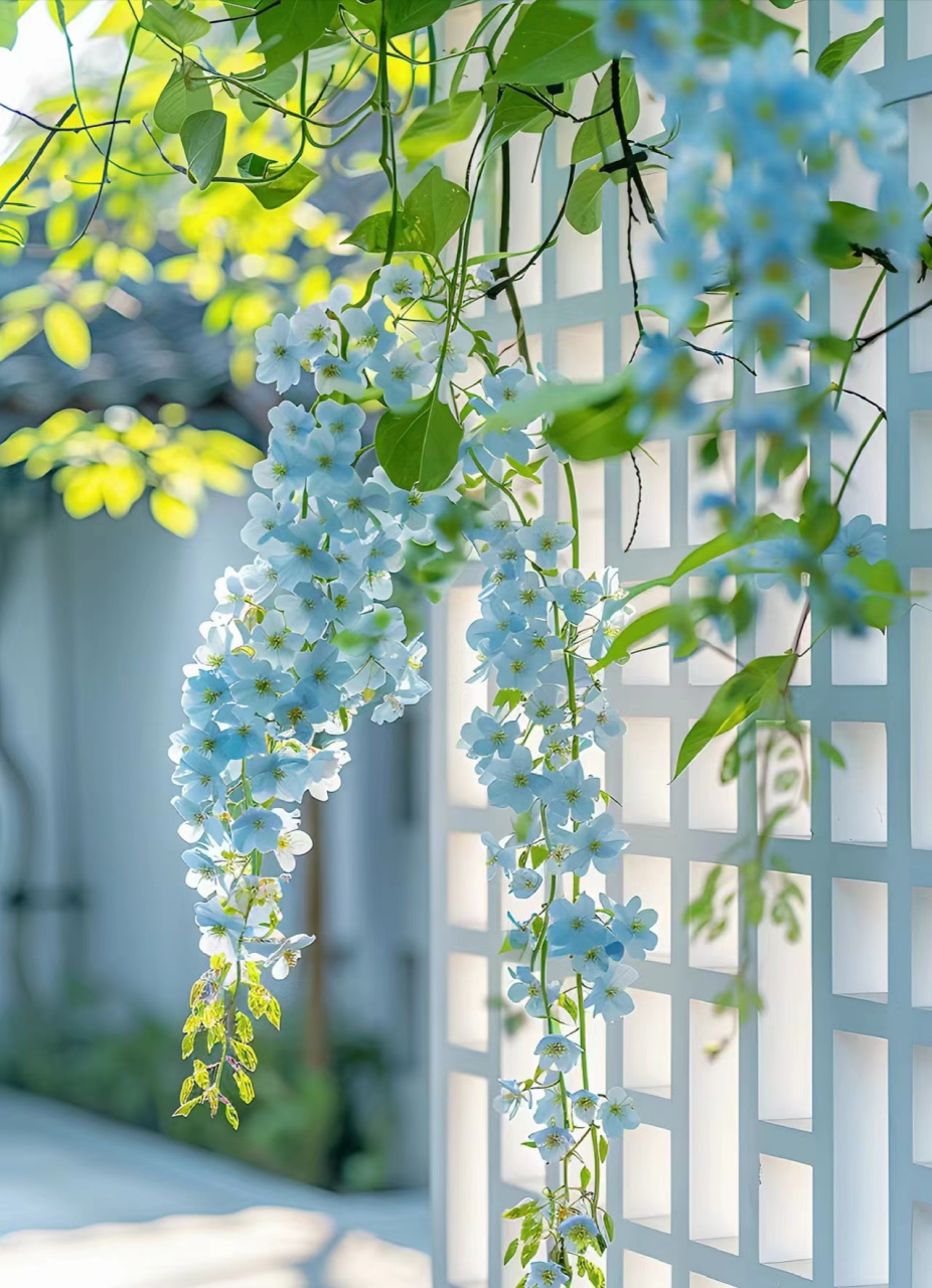 繁花似锦唯美图图片