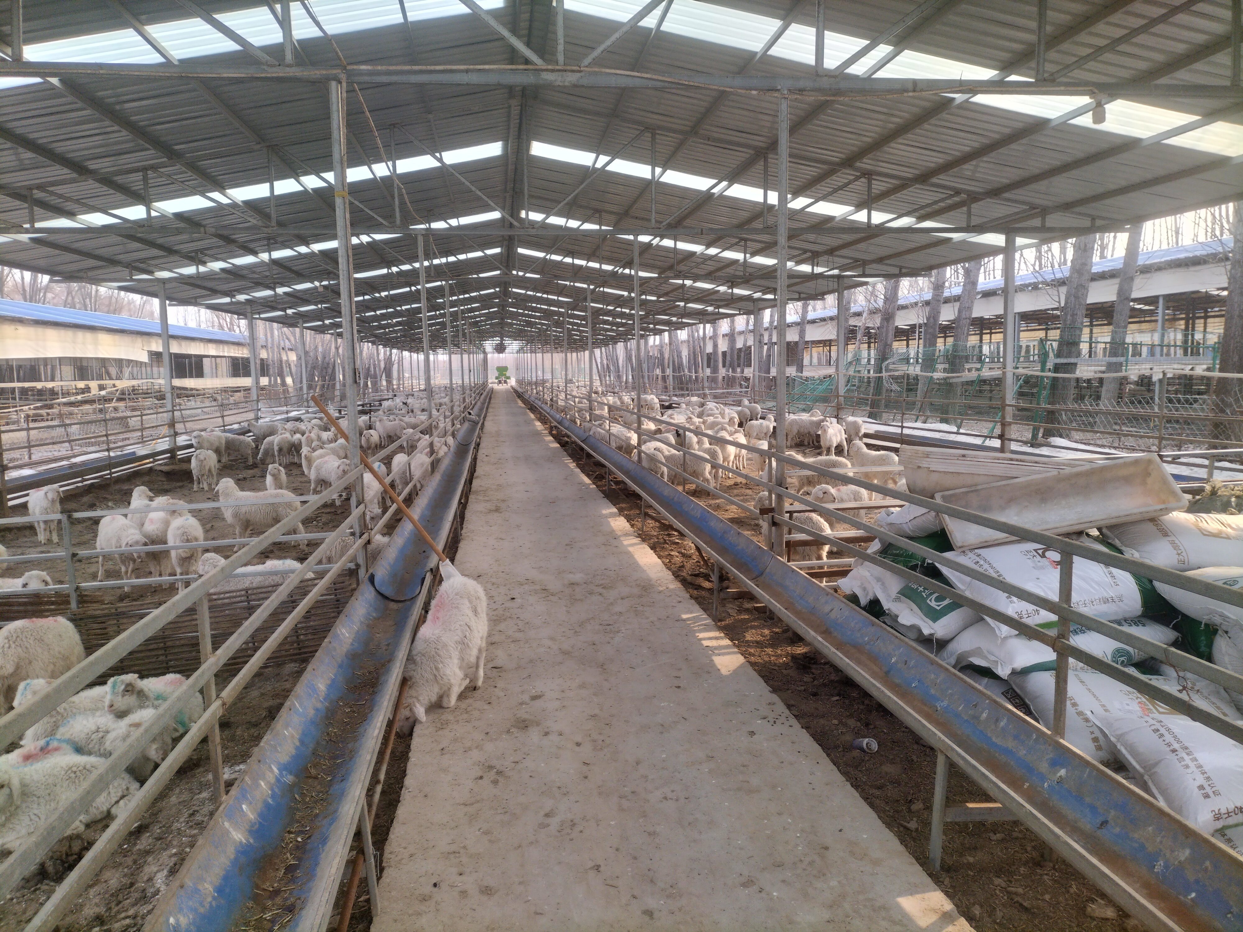 这样的养殖模式到底对不对?能不能走到最后?