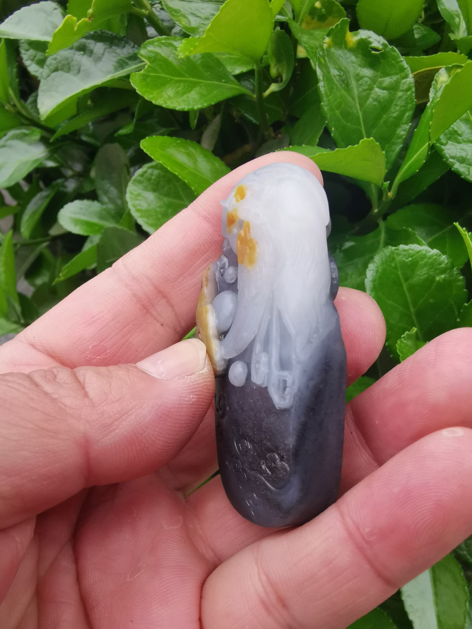 和田玉籽料青花三色料,做工精细料子油润