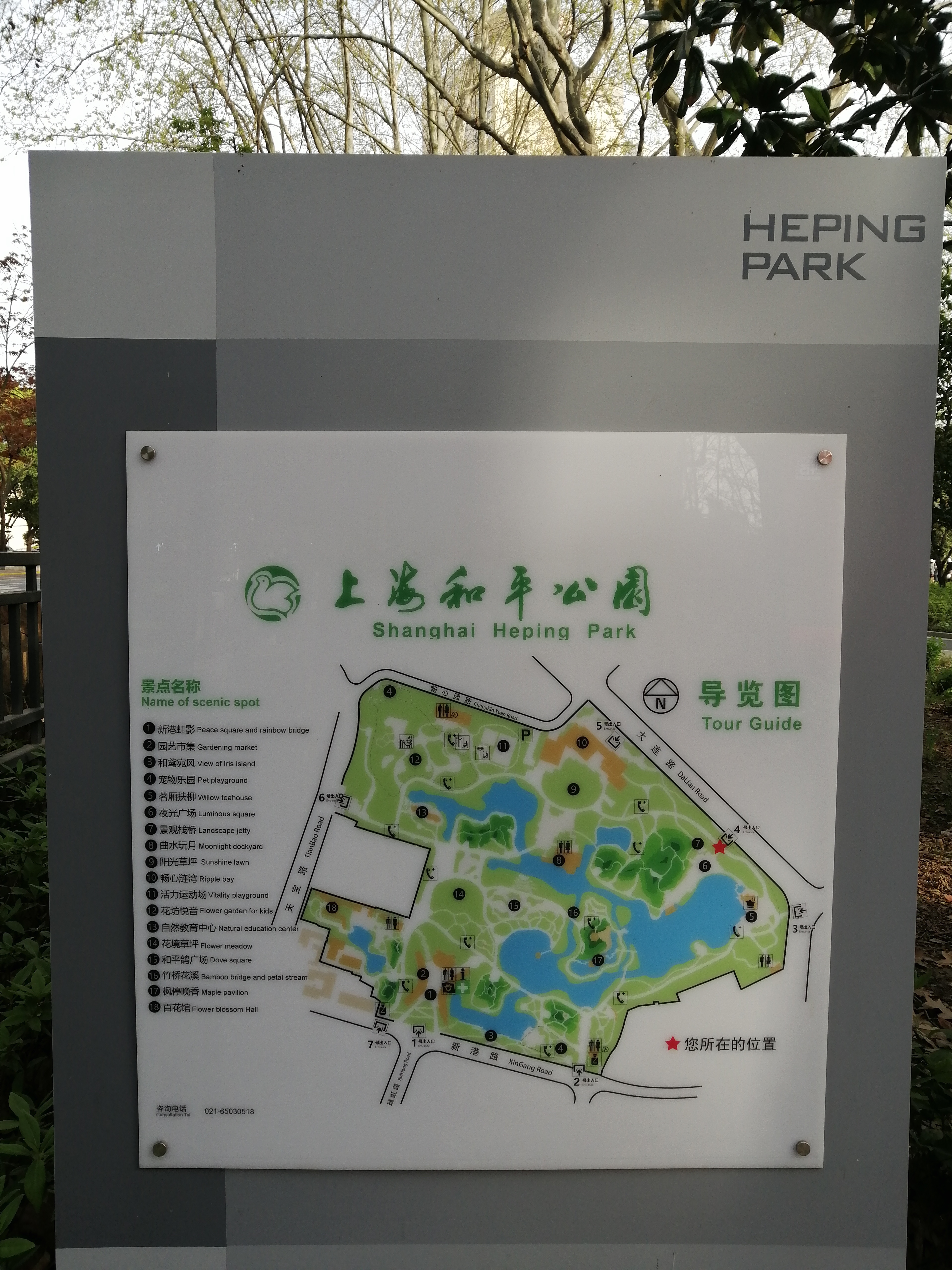 清明节假期第二天和平公园游玩