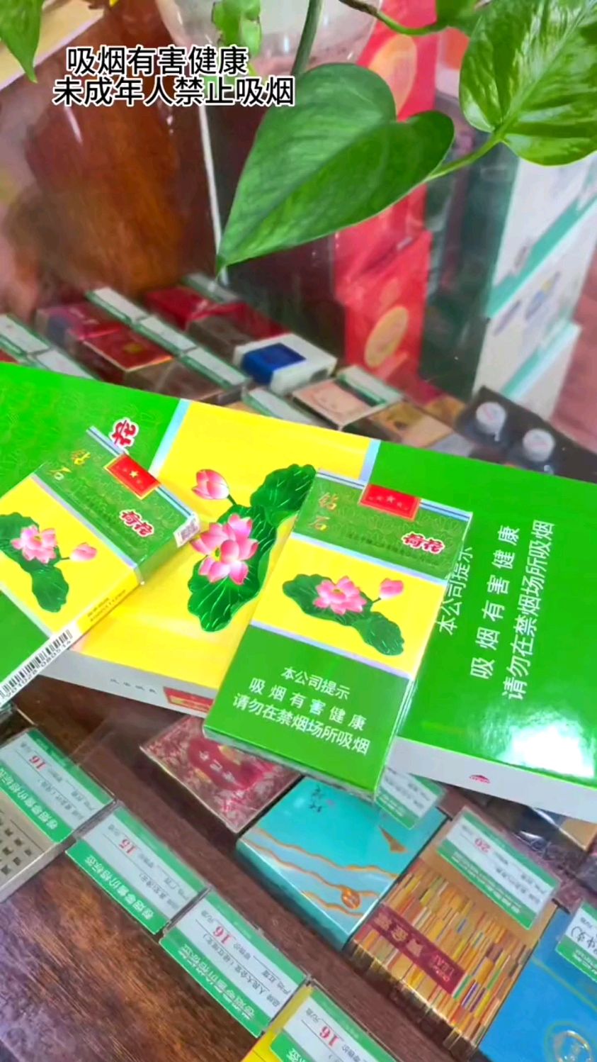 今日荷花别样红木盒细支荷花