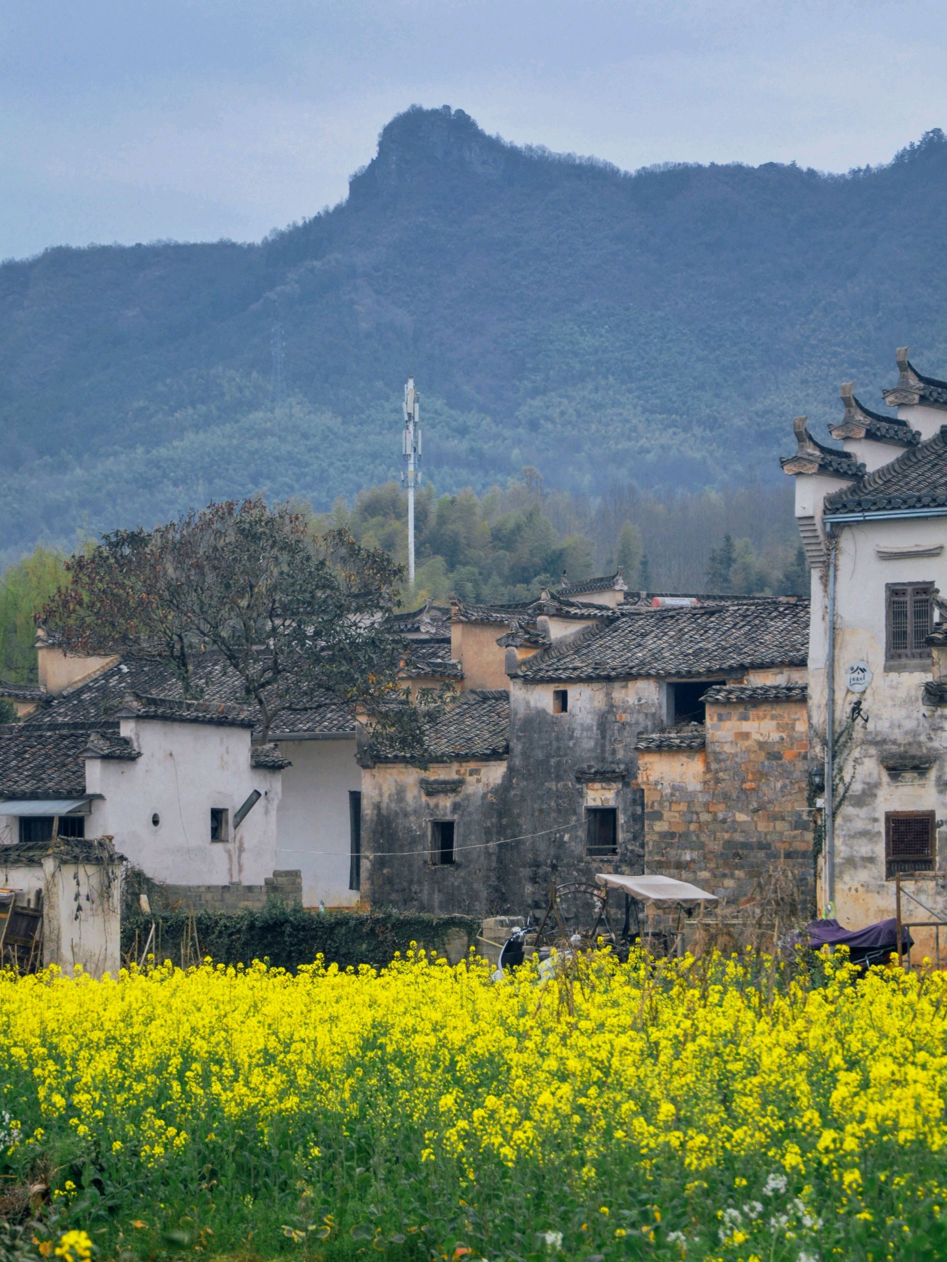 安徽徽州:屏山村