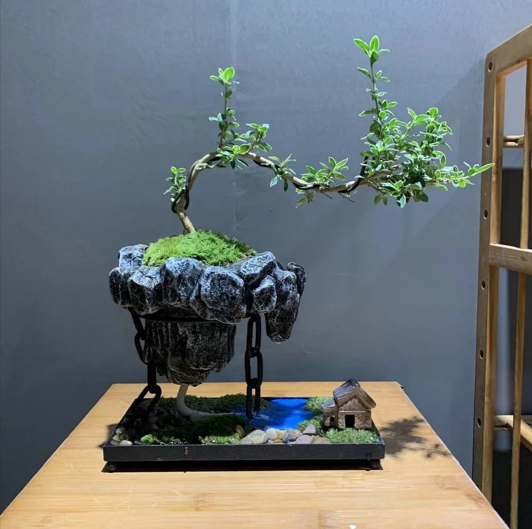 百年光阴,不过教人取舍罢了. 心怀诗意以谋爱,亦需手执烟火以谋生