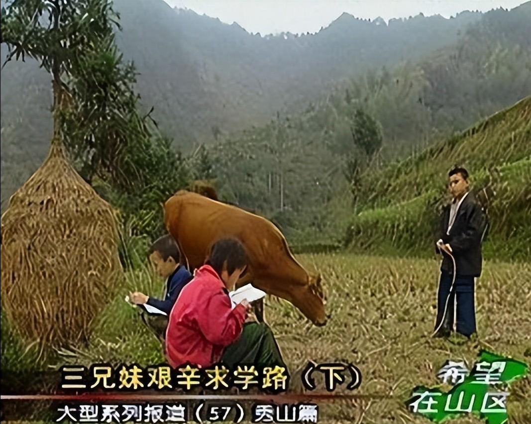 这一年她在拍摄《玉观音》的时候,无意之中看到了一部纪录片,孙俪对片