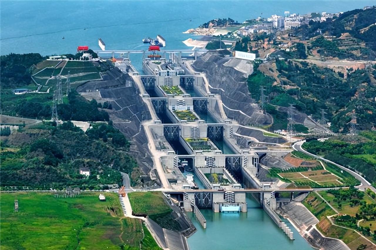 蓄水多年的三峡水库已经成了鱼类天堂里面最大的鱼有多大