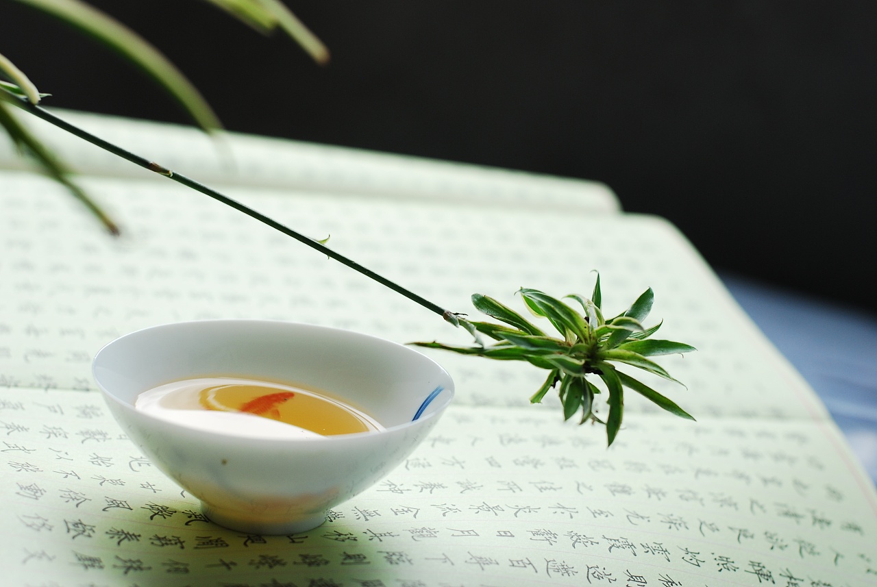 茶叶起源于哪个年代?历史长河中的一片叶!
