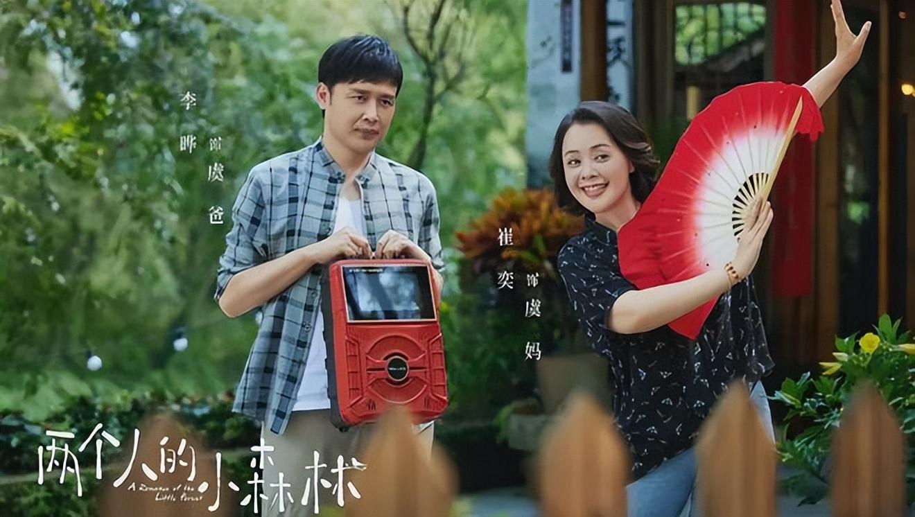 事实上,在《南来北往》中除了"老吴"这个"假老公".