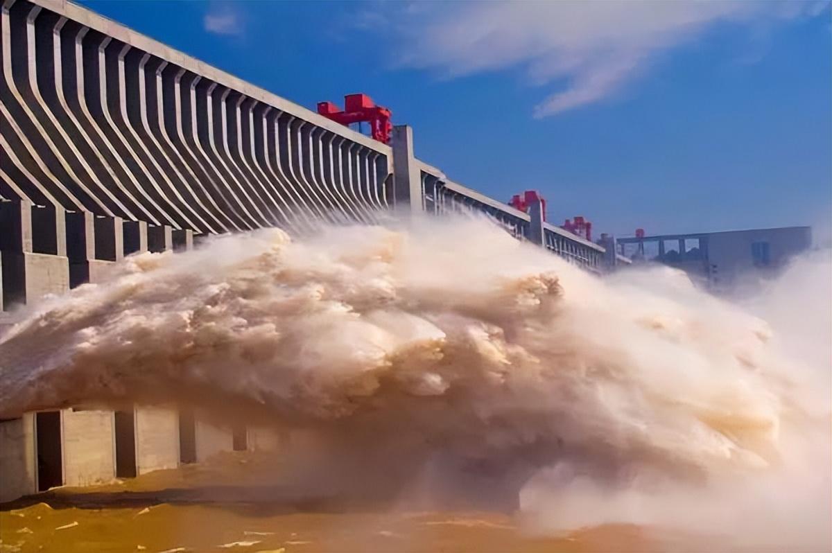 蓄水多年的三峡水库已经成了鱼类天堂里面最大的鱼有多大