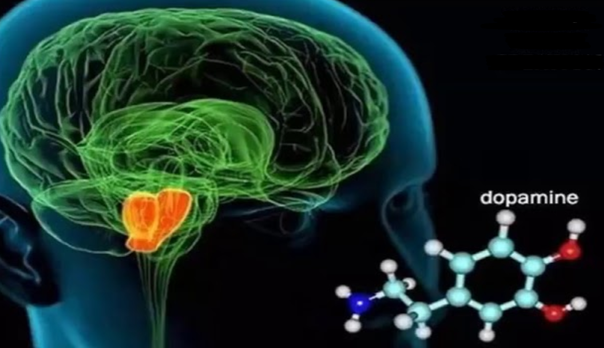 回顾:出轨,真的只有0次和无数次吗?科学研究已经给出了证明