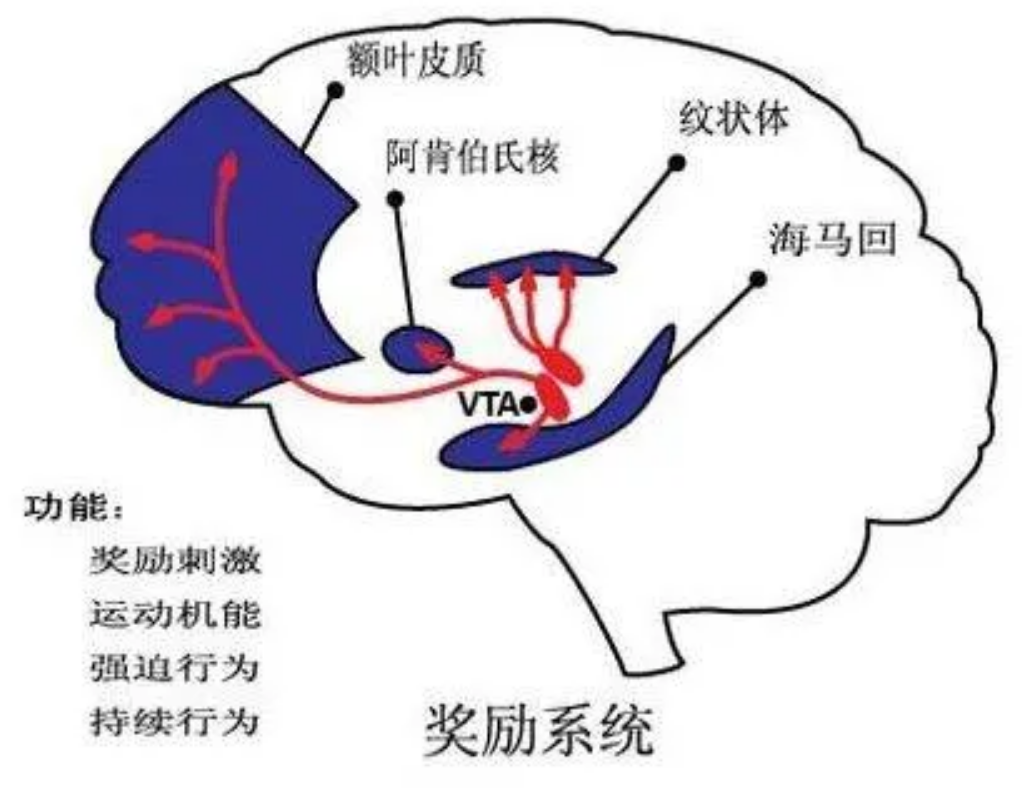 回顾:出轨,真的只有0次和无数次吗?科学研究已经给出了证明