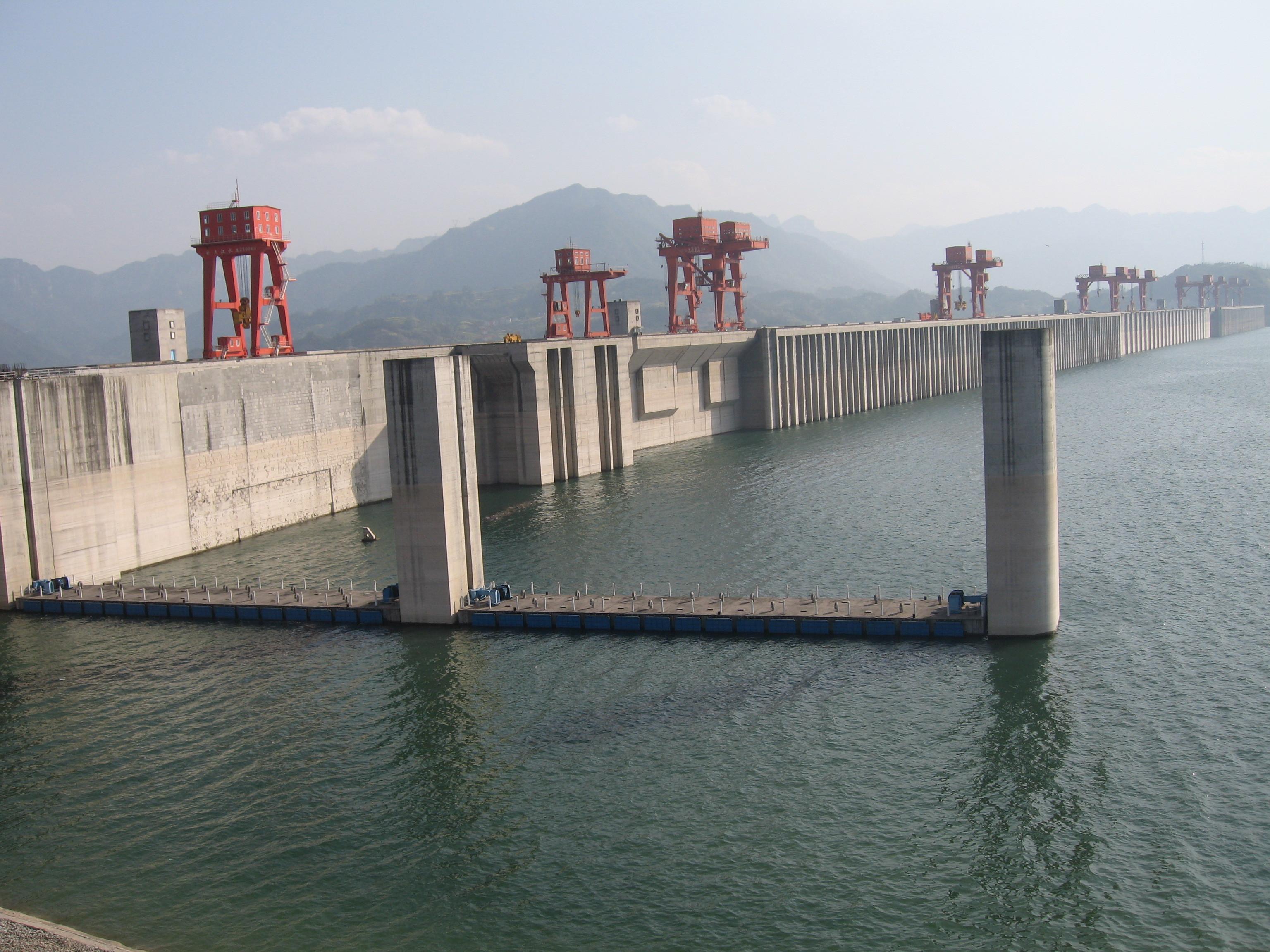 蓄水多年的三峡水库,已经成了"鱼类天堂",里面最大的鱼有多大?