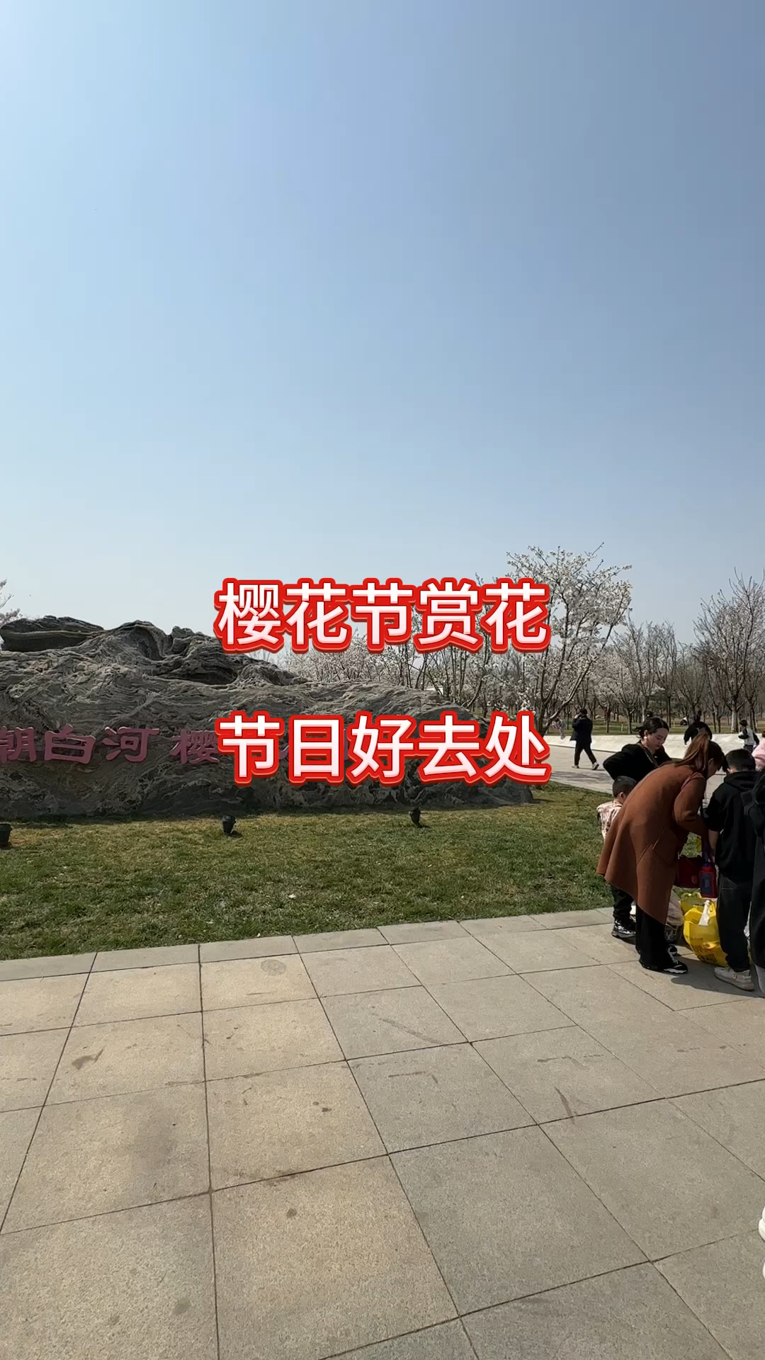 节日好去处,大厂潮白河樱花公园-度小视