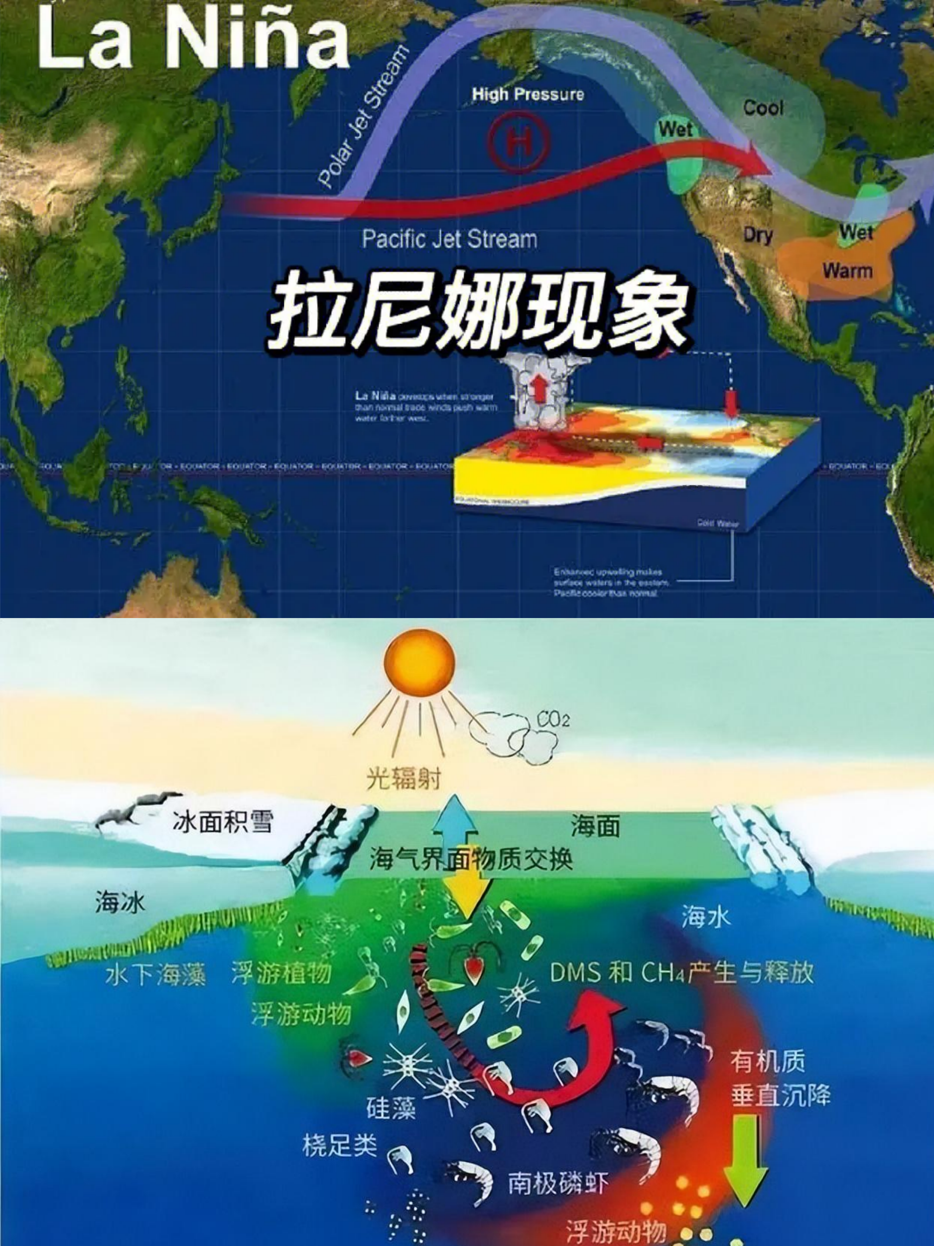 全球气候大转变:今年夏天,拉尼娜是否会降临?