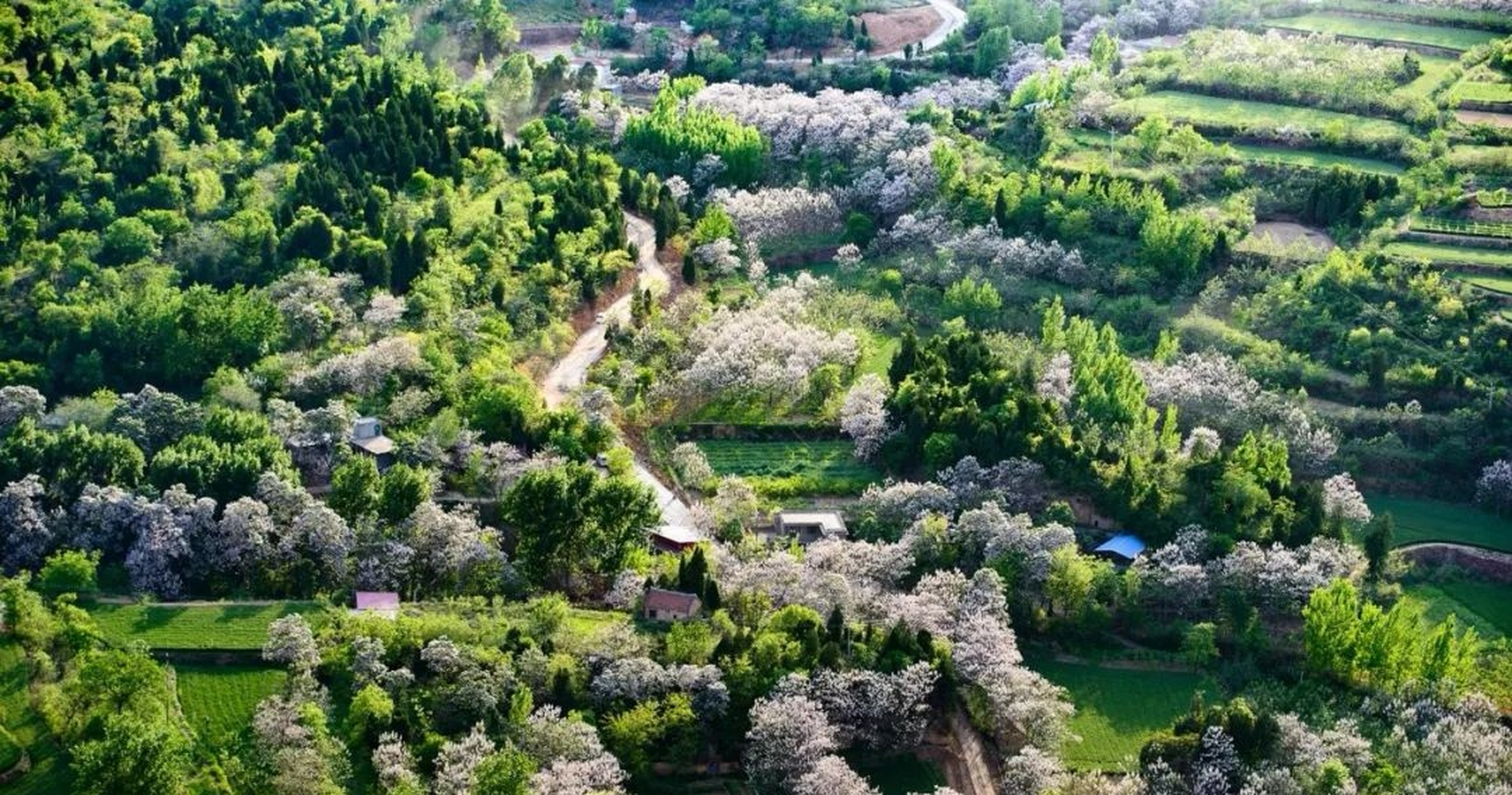 郑州荥阳万山森林公园,位于河南省荥阳市西南部,是自然与人文交相辉映