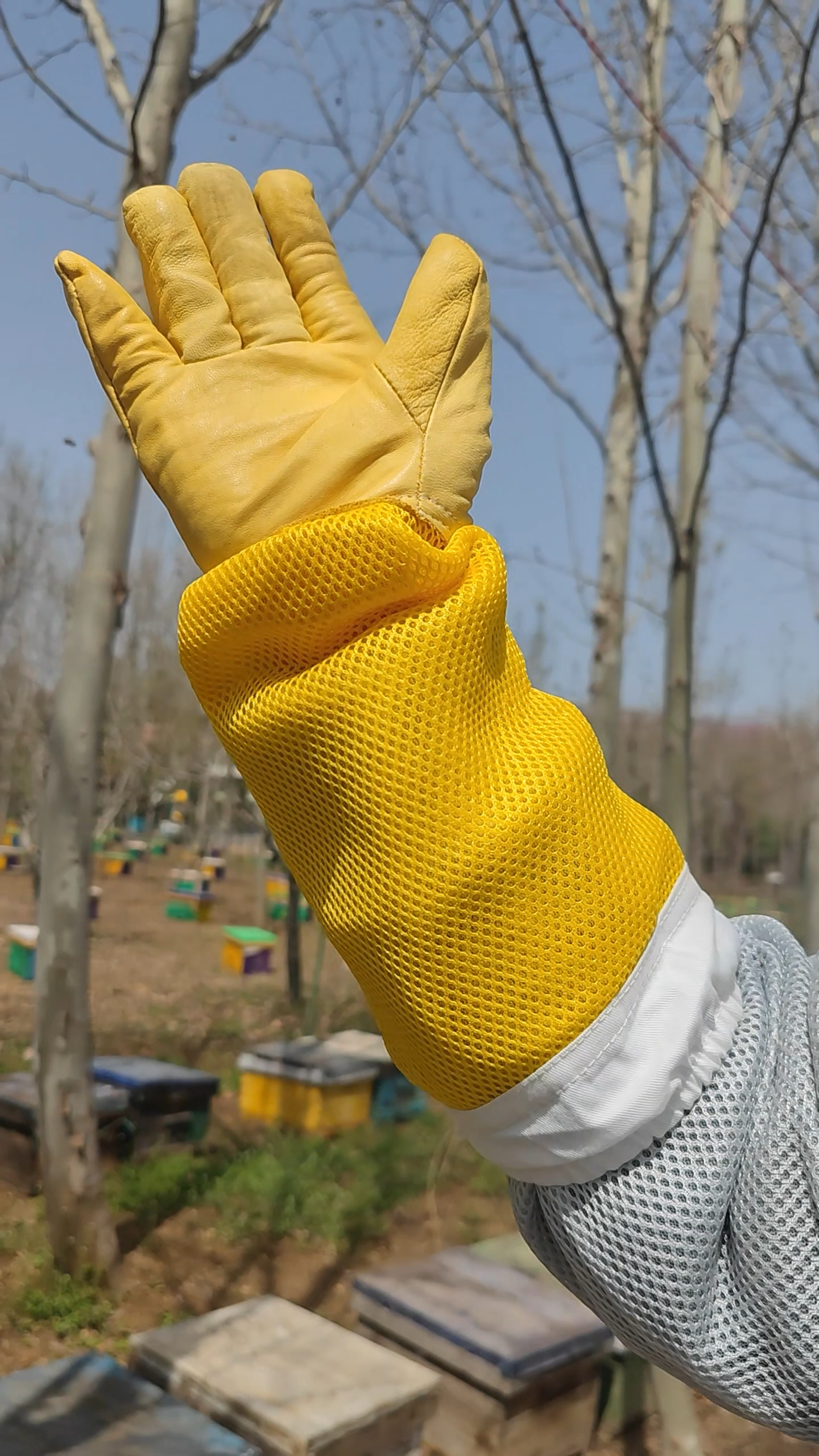 春繁时蜜蜂非常活跃割蜜容易蜇人,可以带一双羊皮手套保护手臂!