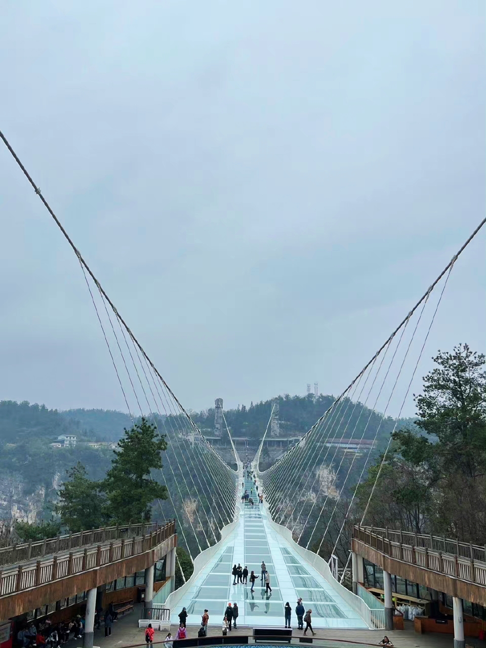 首先体验了著名的玻璃桥,站在桥上,仿佛漫步云端,既刺激又令人兴奋