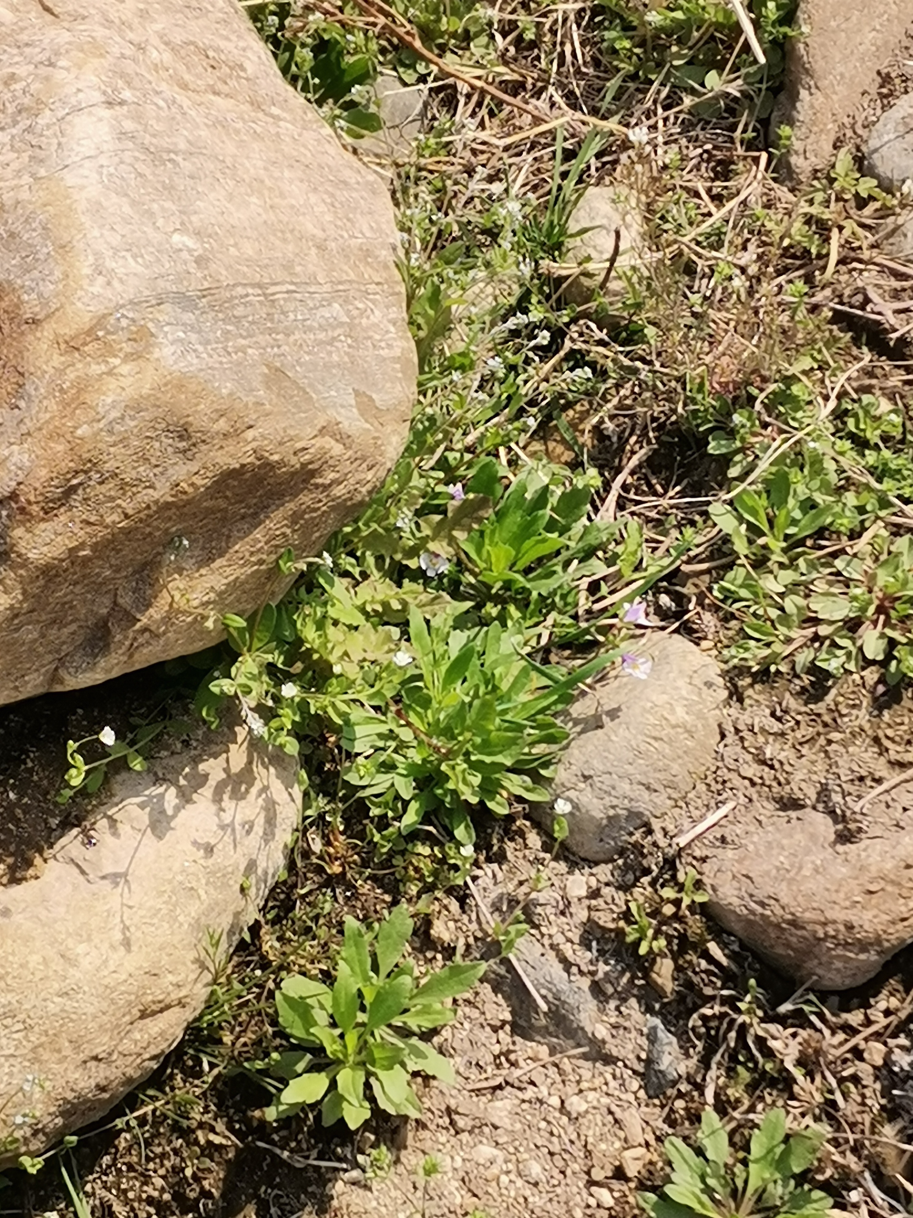 人到中年, 卸掉不必要的面具, 不再惯着别人的坏