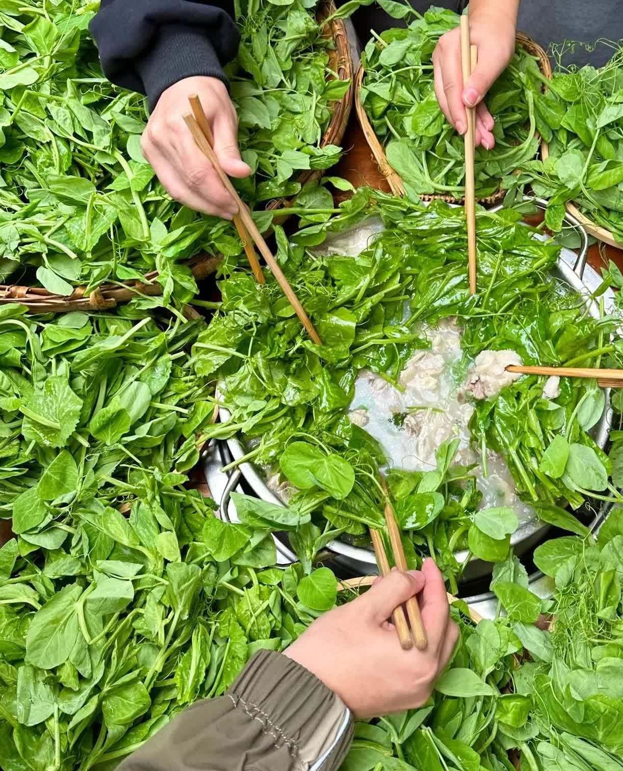 一荤一素一桌人,一人一筷一世情,邀三五好友相聚,别提有多惬意