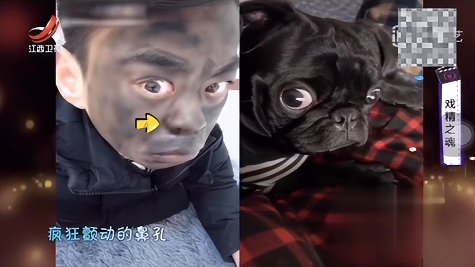 起初,小浩模仿了一只哈巴狗,这算是扮丑吧.