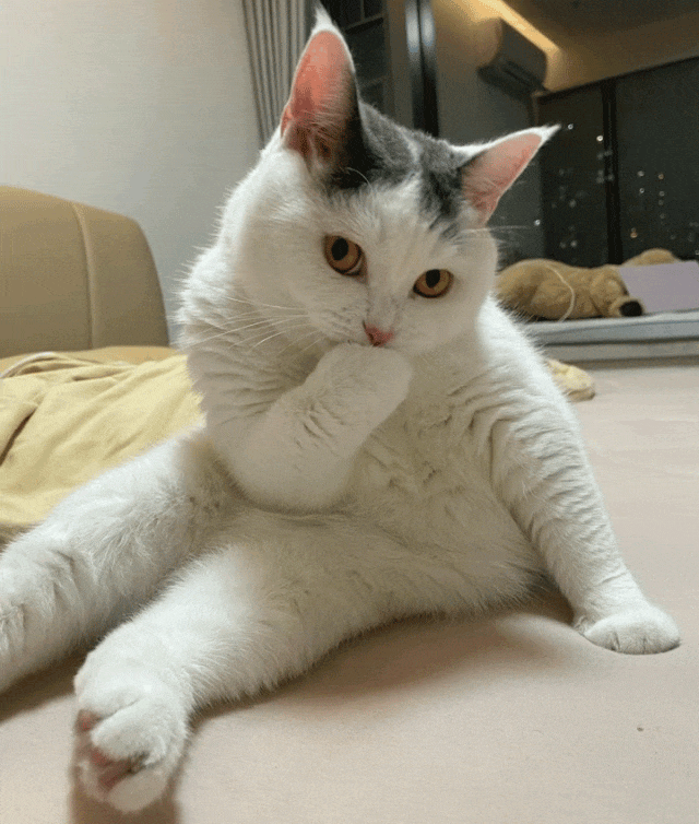 再说不正经的 ～正经的,这一套下来,就算大把人不喜欢小米这车,那应该