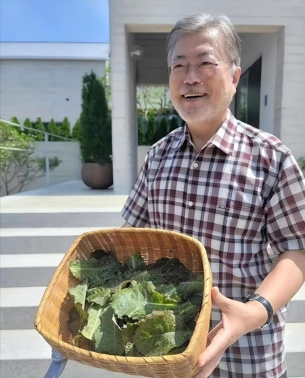 退休后的文在寅读书遛狗种地求平安尹锡悦却连他的狗都不放过