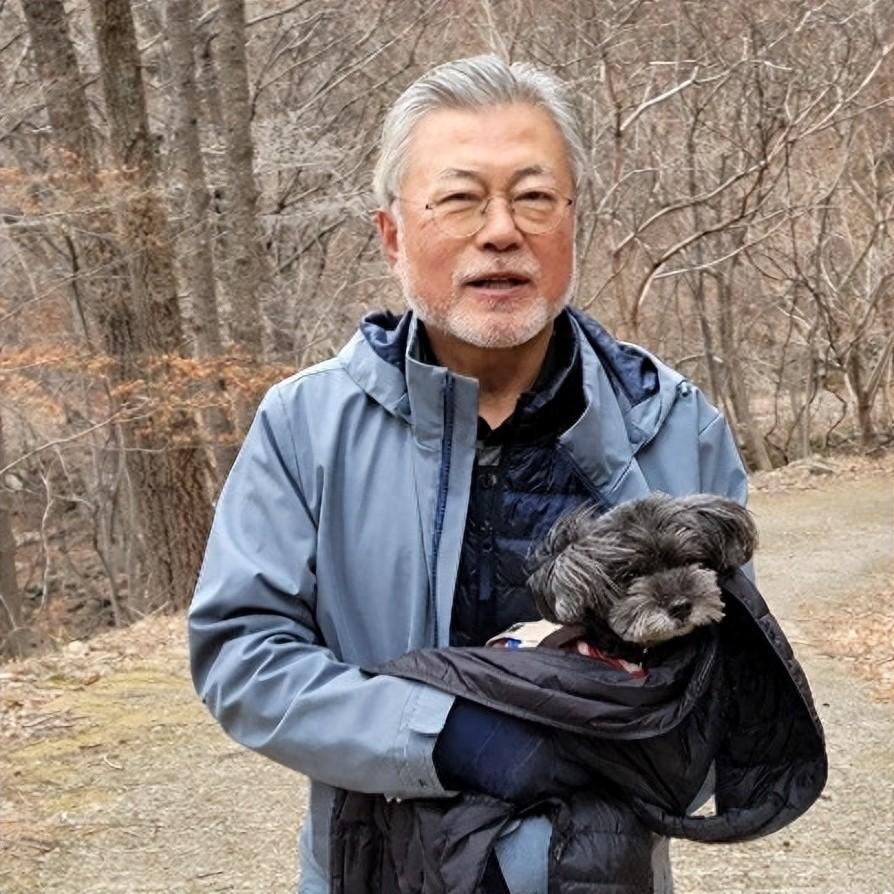 退休后的文在寅读书遛狗种地求平安尹锡悦却连他的狗都不放过