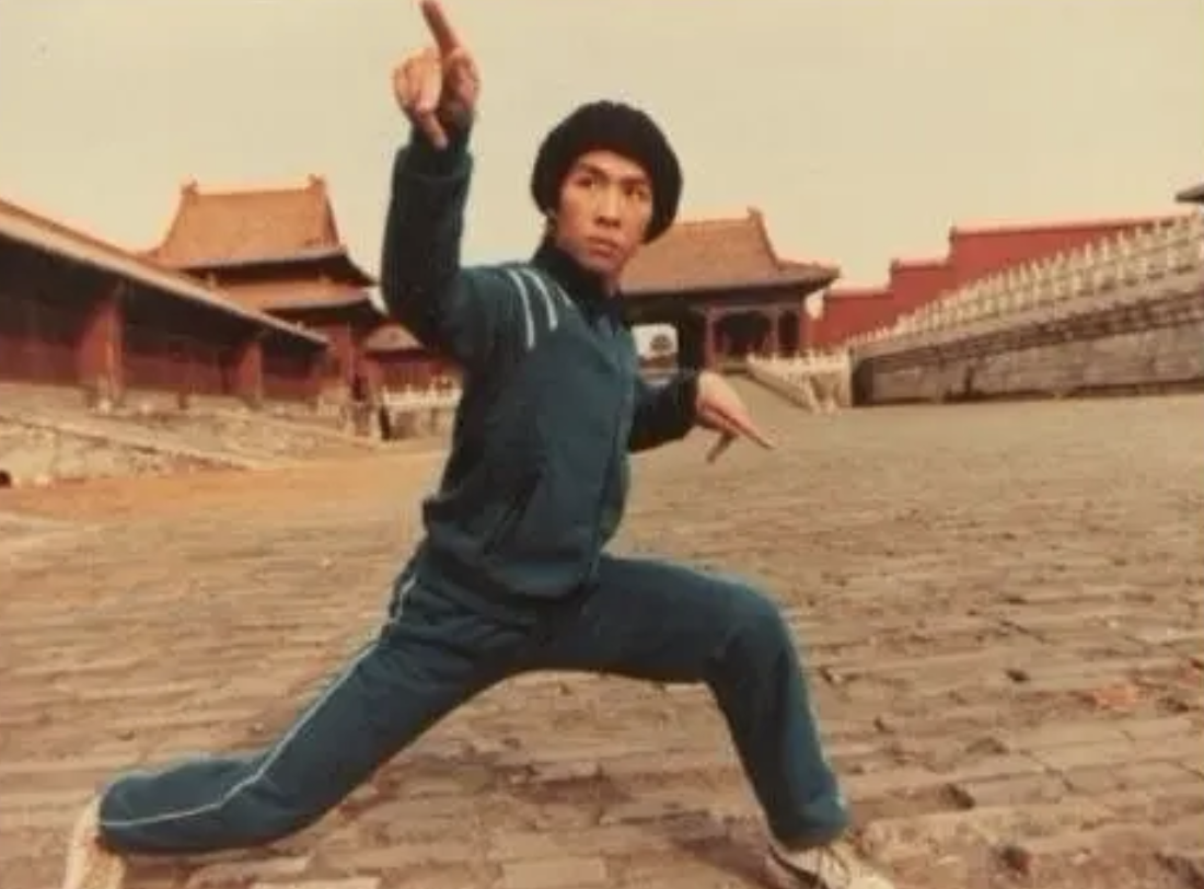 1963年,甄子丹出生在广东一个武术世家,他两岁到了香港.