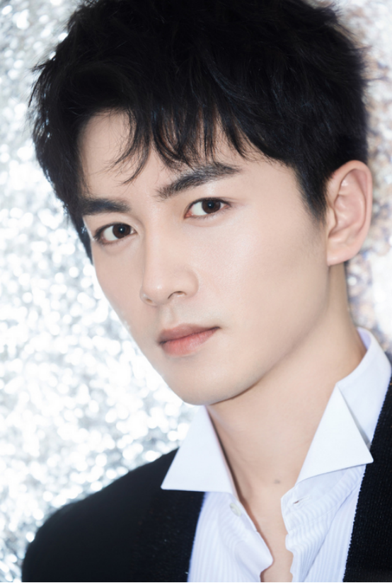 陈晓的颜值,属于温润如玉的公子形象,所以,他的五官也十分符合中国式