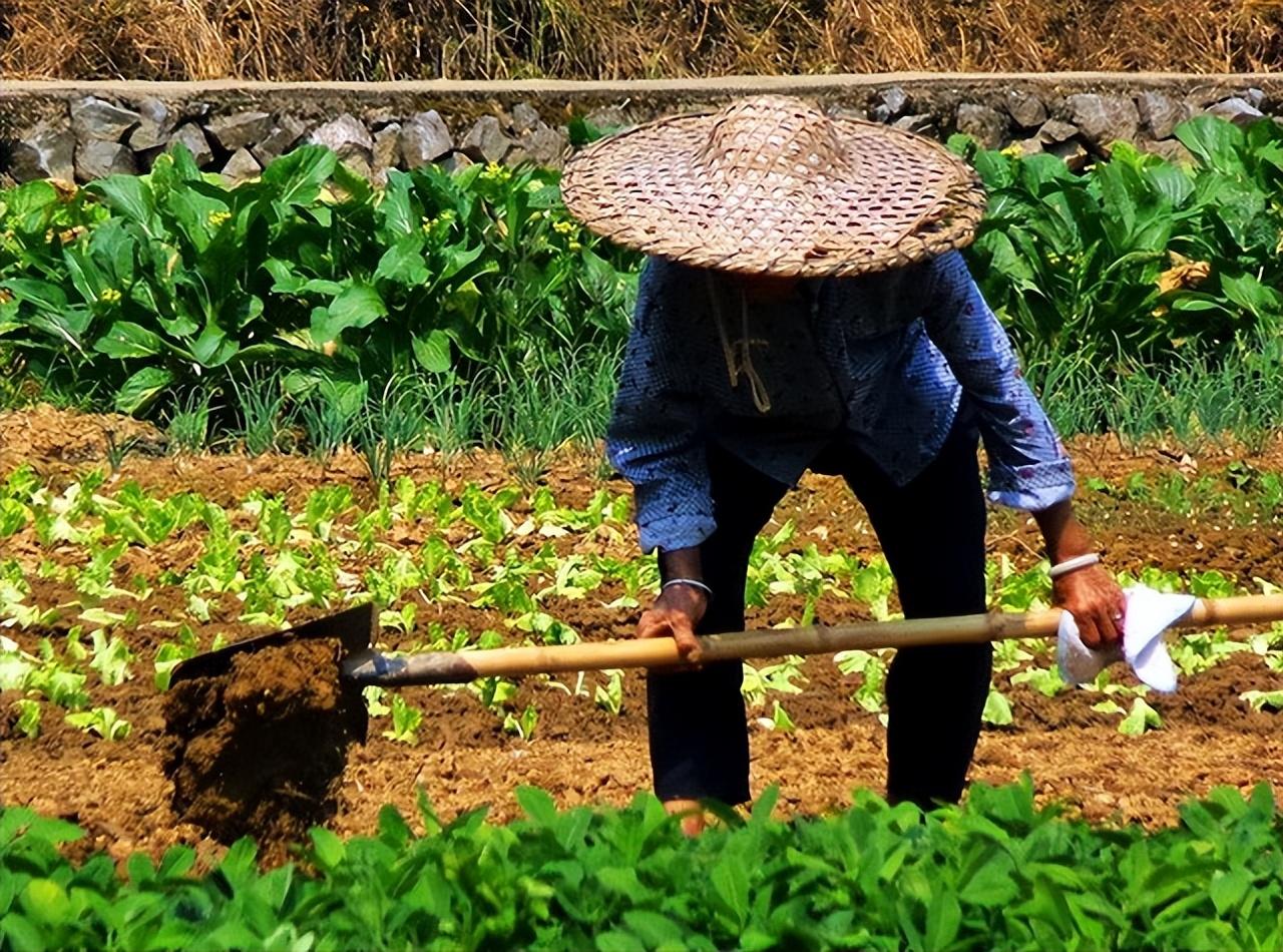 2018年江西老人离世靠吃咸菜度日家里却存有百万现金