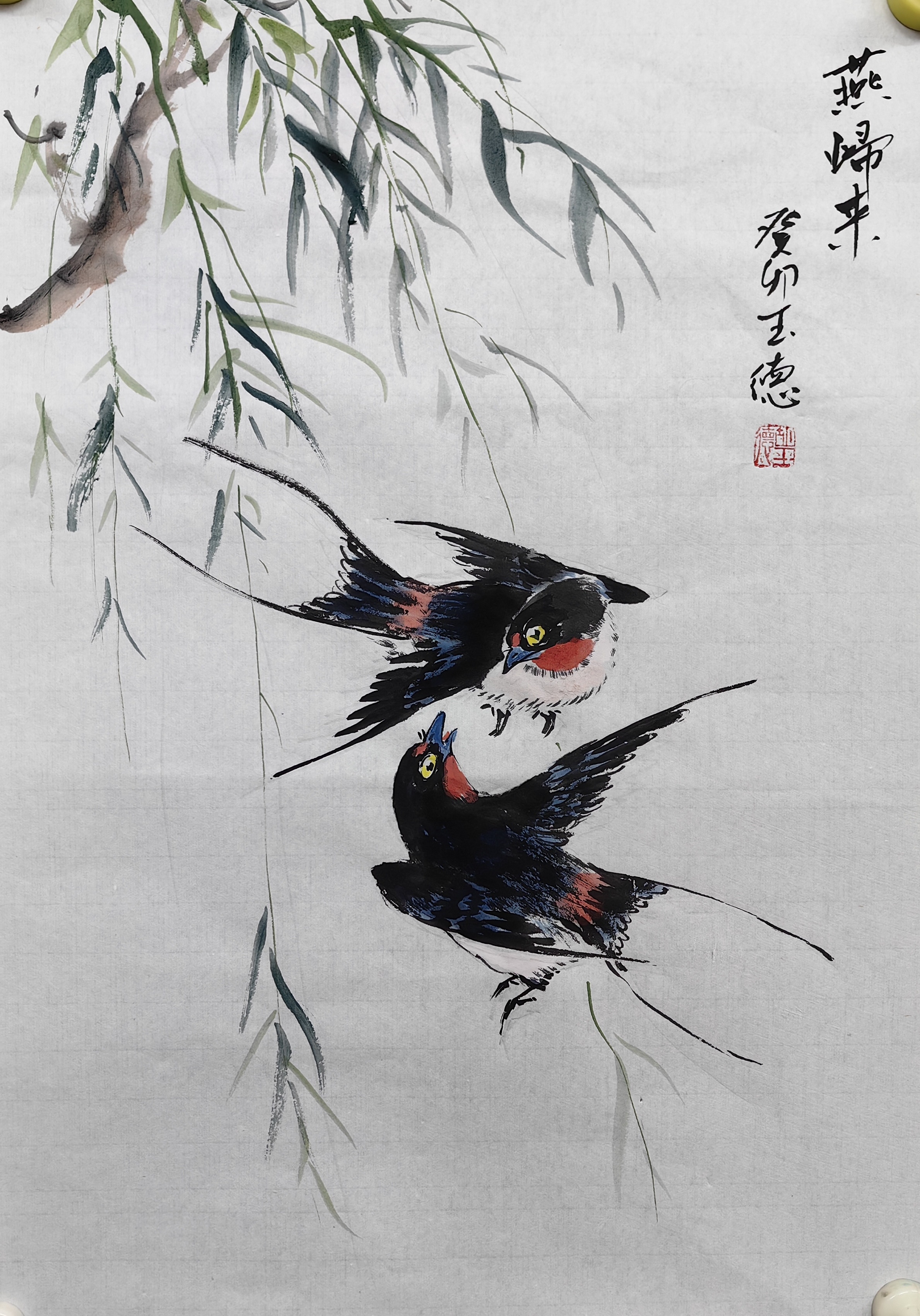 燕子,这种灵巧的飞禽,以其优雅的姿态和独特的魅力,总是能轻易地吸引